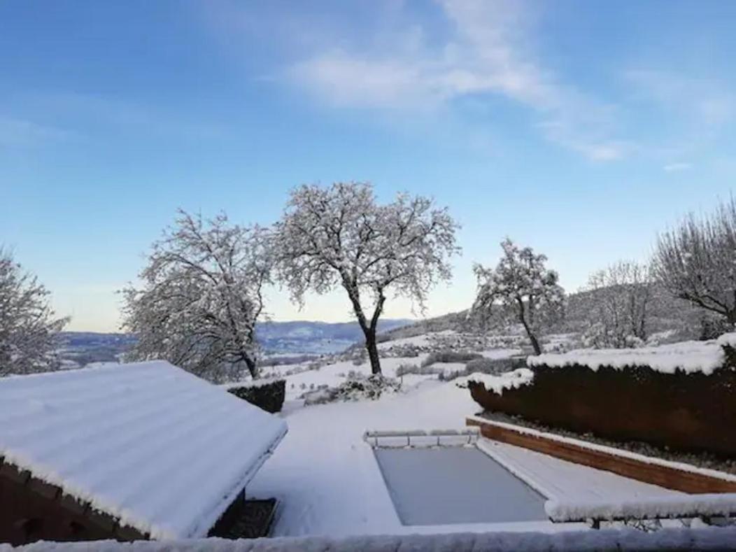 5 Min Des Pistes De Ski Grand Studio Mezzanine Viuz-en-Sallaz Kültér fotó